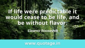 Read more about the article “If life were predictable it would cease to be life, and be without flavor.” – Eleanor Roosevelt