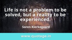 Read more about the article “Life is not a problem to be solved, but a reality to be experienced.”– Soren Kierkegaard 