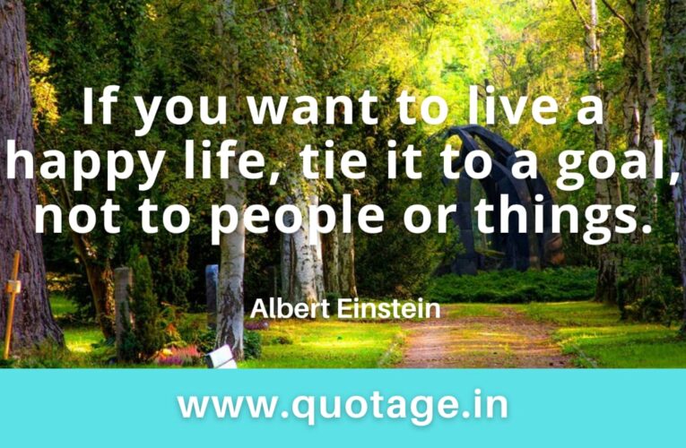 “If you want to live a happy life, tie it to a goal, not to people or things.”– Albert Einstein 