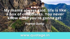 Read more about the article “My mama always said, life is like a box of chocolates. You never know what you’re gonna get.” — Forrest Gump  