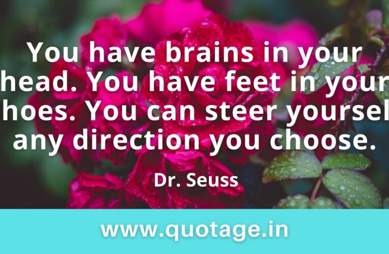 “You have brains in your head. You have feet in your shoes. You can steer yourself any direction you choose.” — Dr. Seuss 