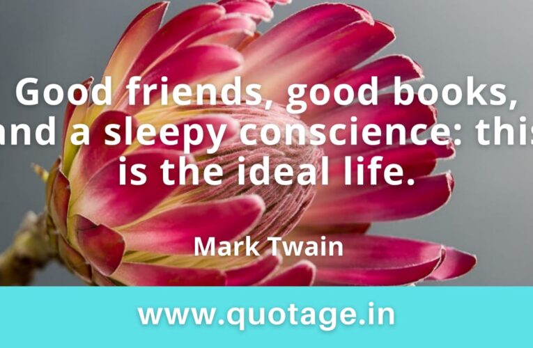 “Good friends, good books, and a sleepy conscience: this is the ideal life.” — Mark Twain 
