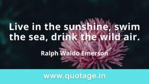 Read more about the article “Live in the sunshine, swim the sea, drink the wild air.” — Ralph Waldo Emerson 