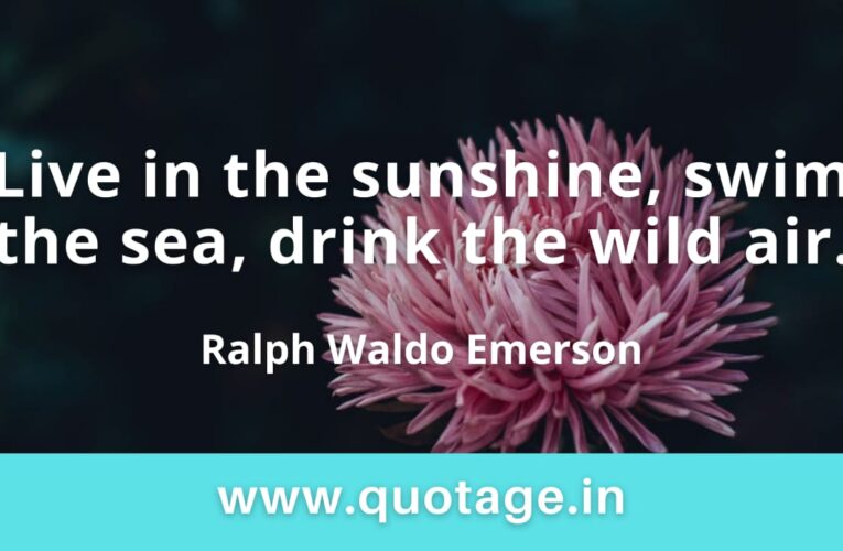 “Live in the sunshine, swim the sea, drink the wild air.” — Ralph Waldo Emerson 
